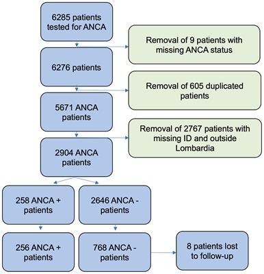 Serum ANCA and Overall Mortality: A 10-Year Retrospective Cohort Study on 1,024 Italian Subjects